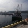 029_Baddeck - StJohn's