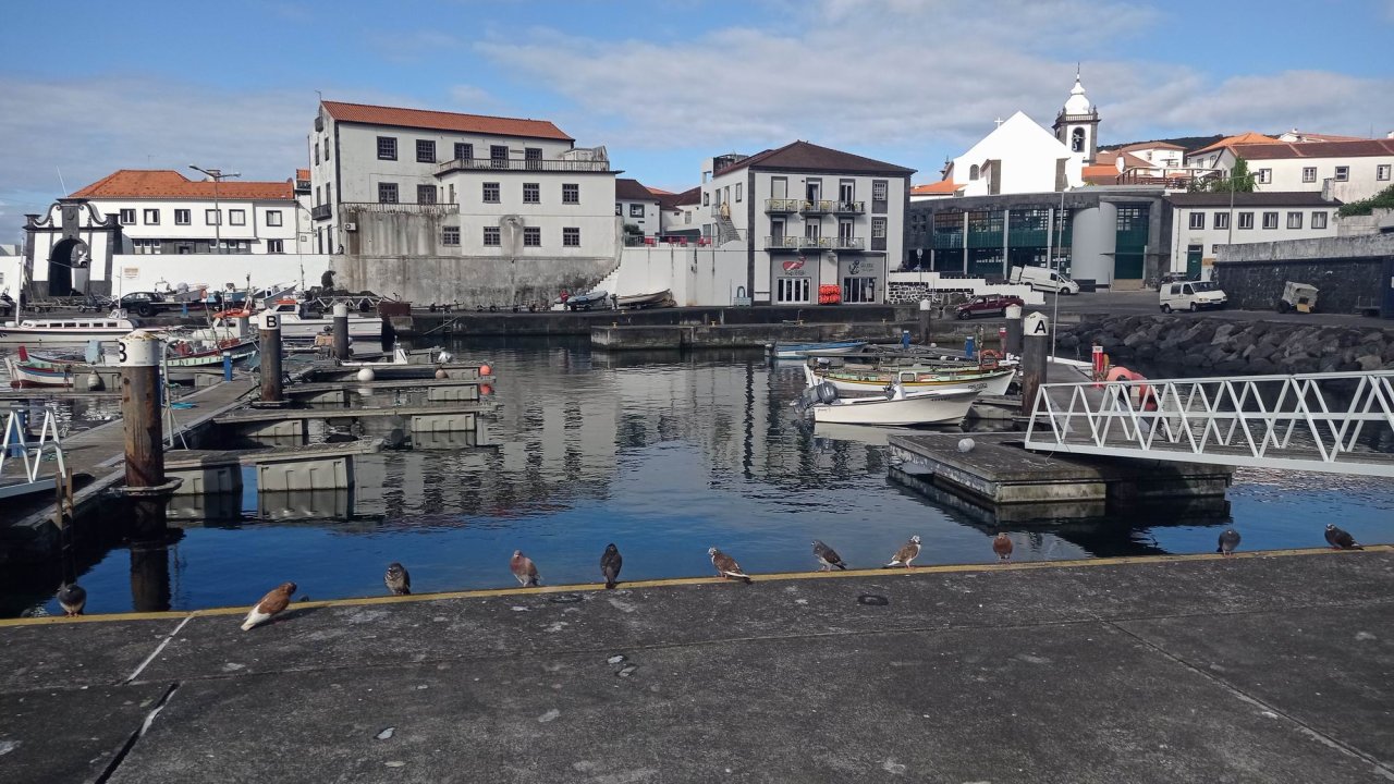 033 Sao Jorge_Azory