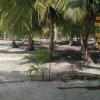 046 San Blas