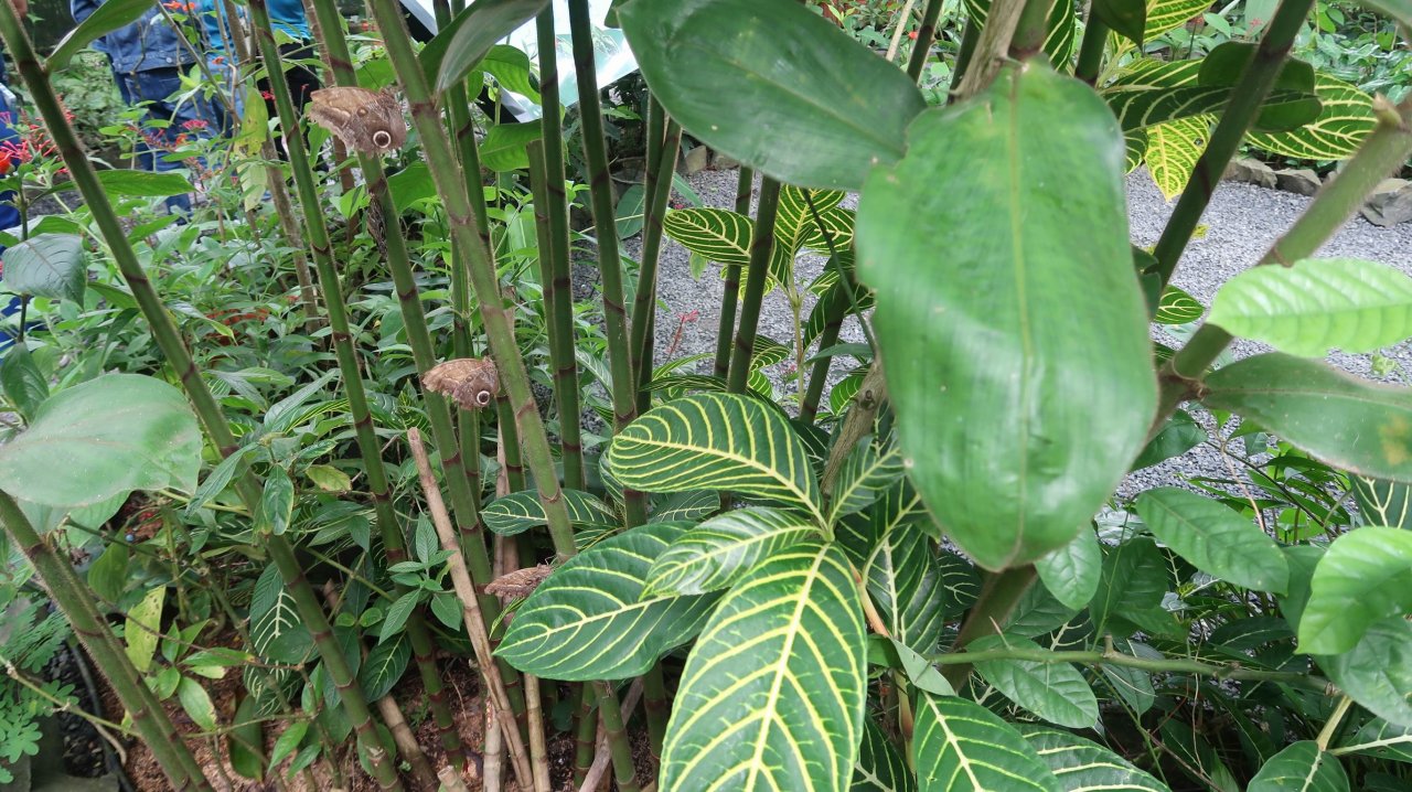 048 Panamský prieplav - Panama city