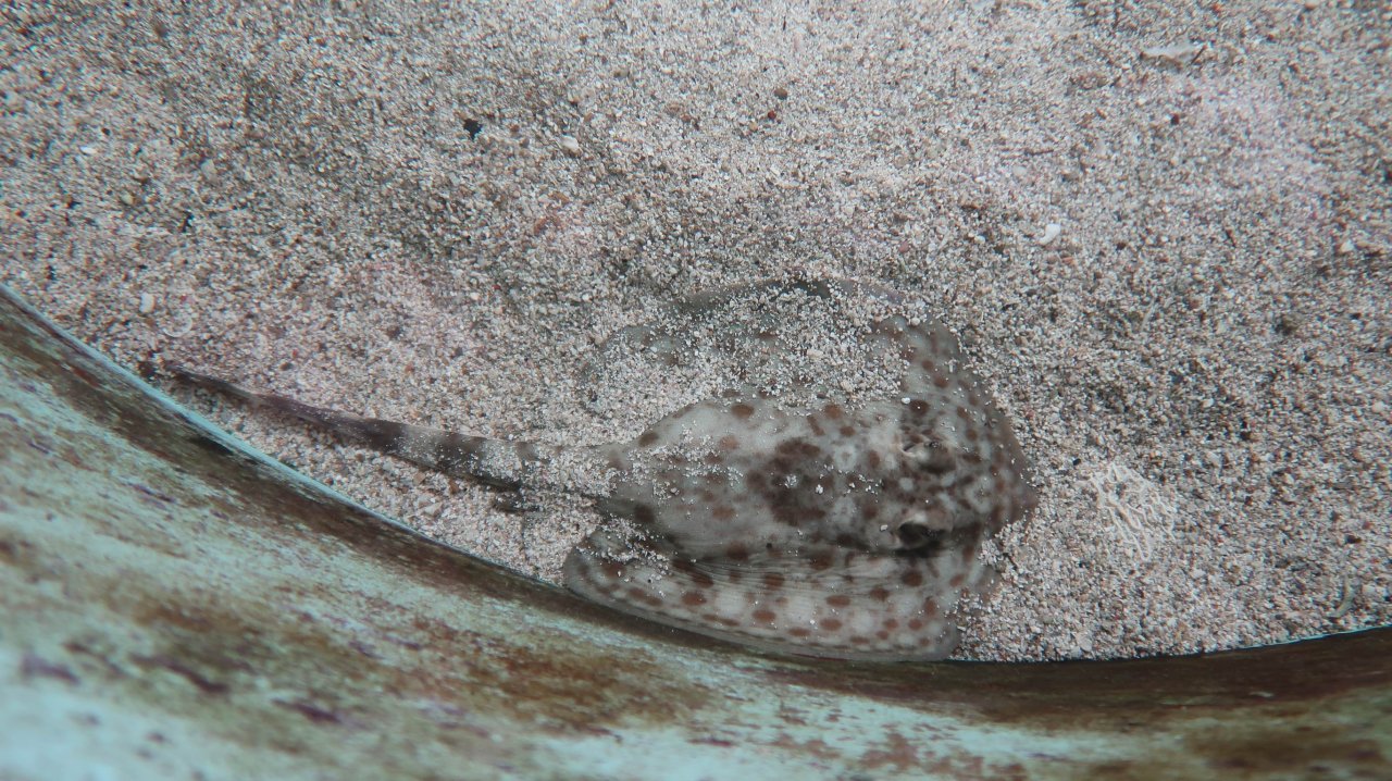 048 Panamský prieplav - Panama city
