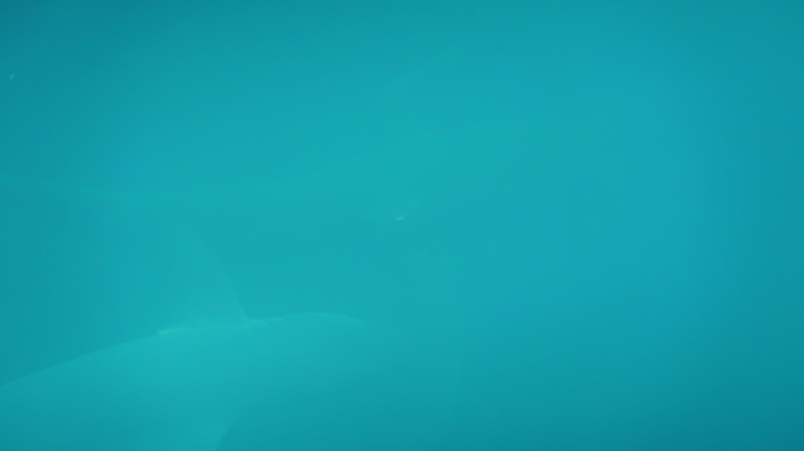 Galapagy 084
