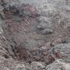 050 Galapágy