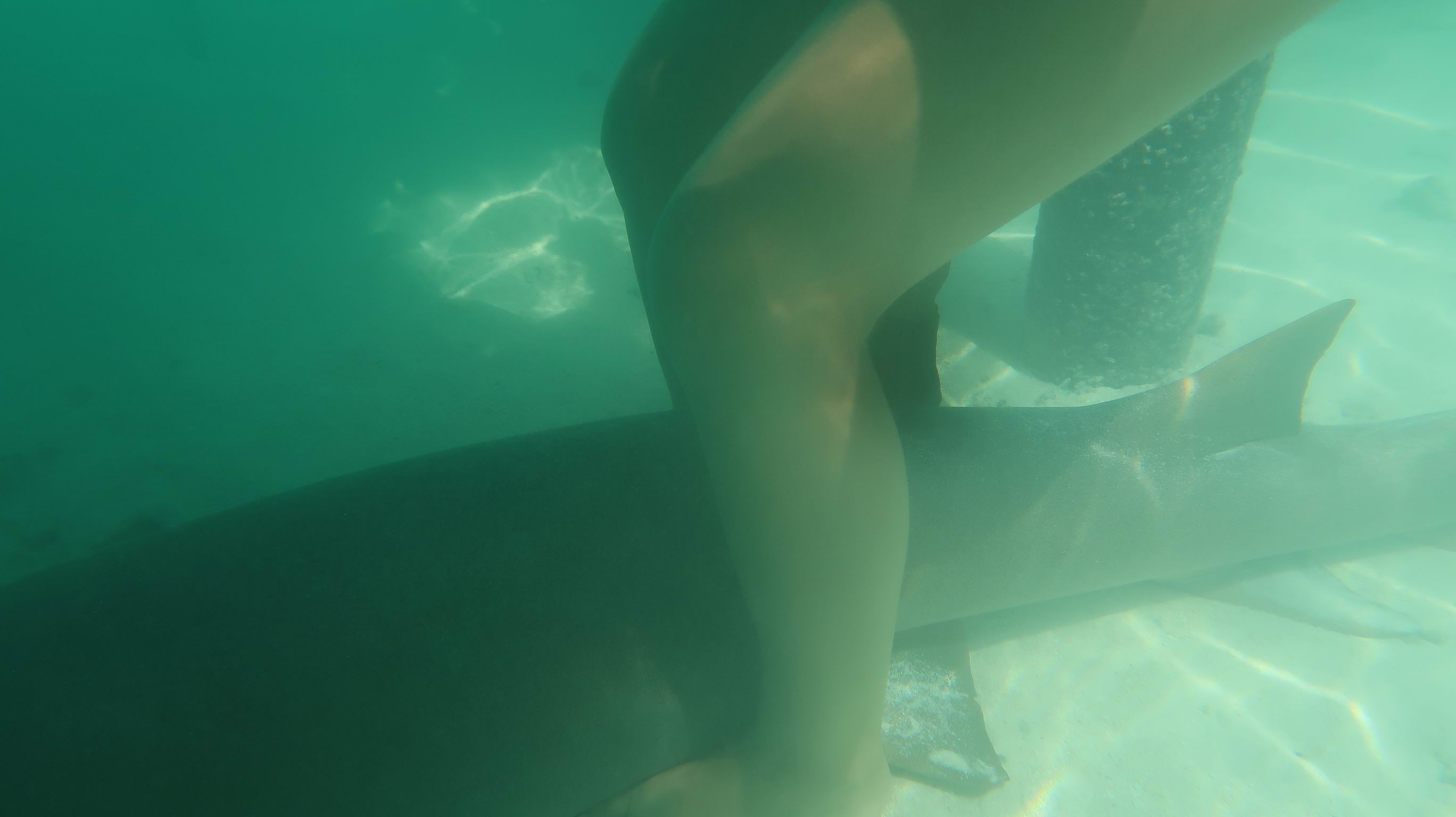 Markezy Tuamotu 061