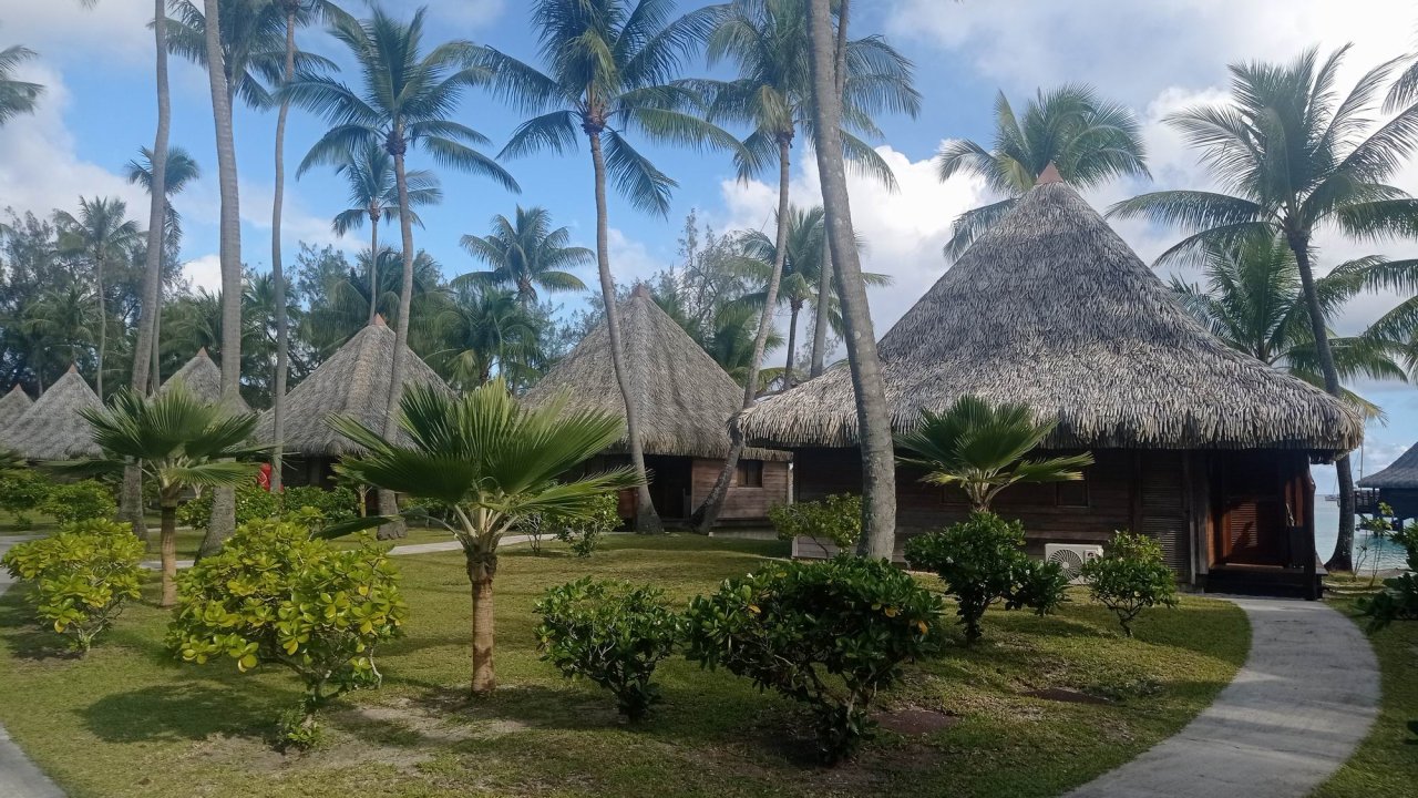 053 Markézy - Tuamotu