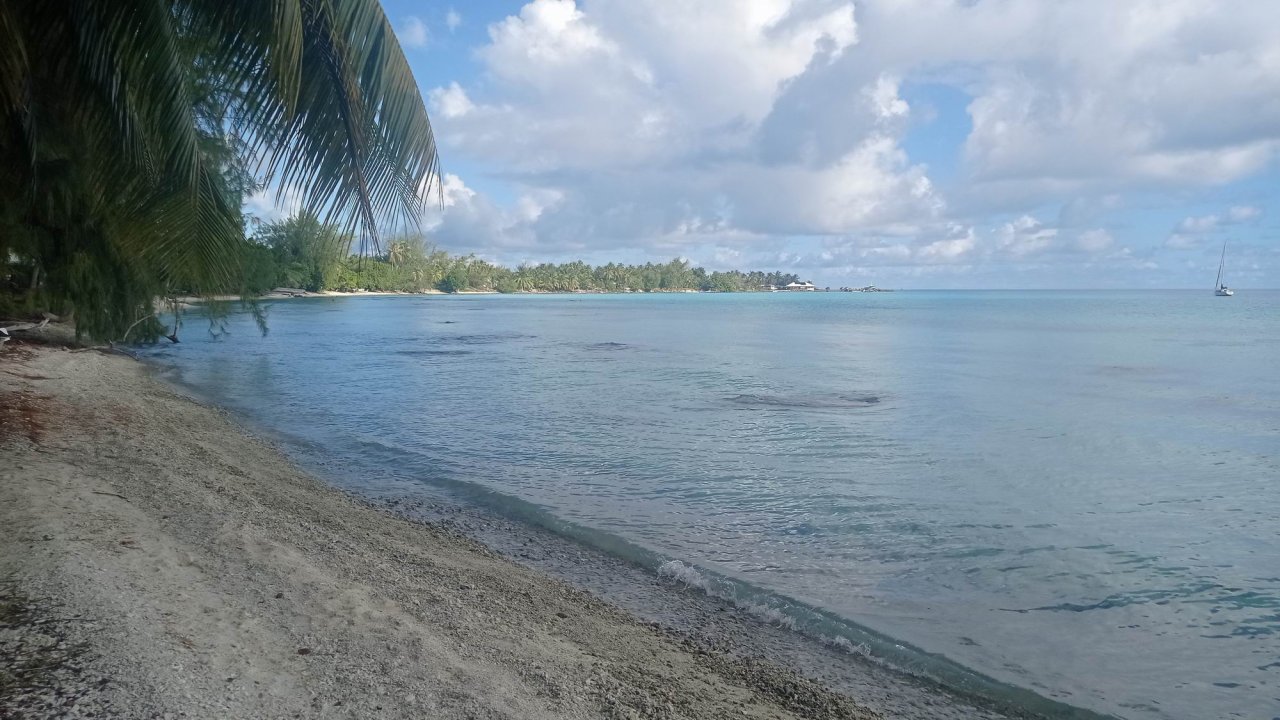 053 Markézy - Tuamotu